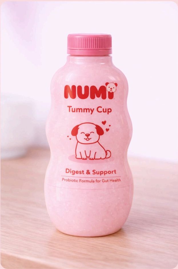NUMI Tummy Cup bottle